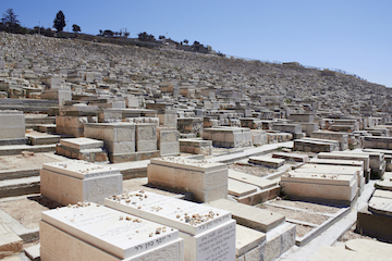 Ölberg Friedhof Totale
